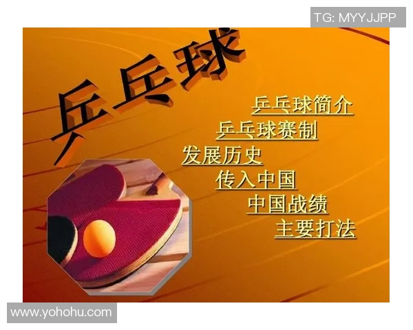 从零基础到高手之路乒乓球技术全方位提升指南